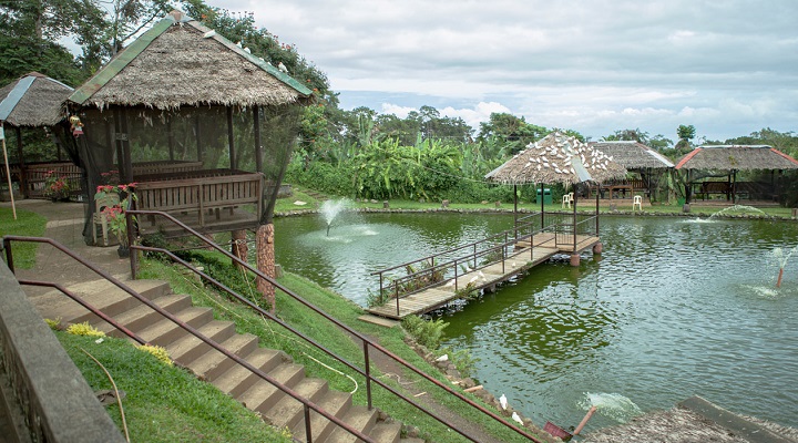 Eden 7 Philippine Eagle Center