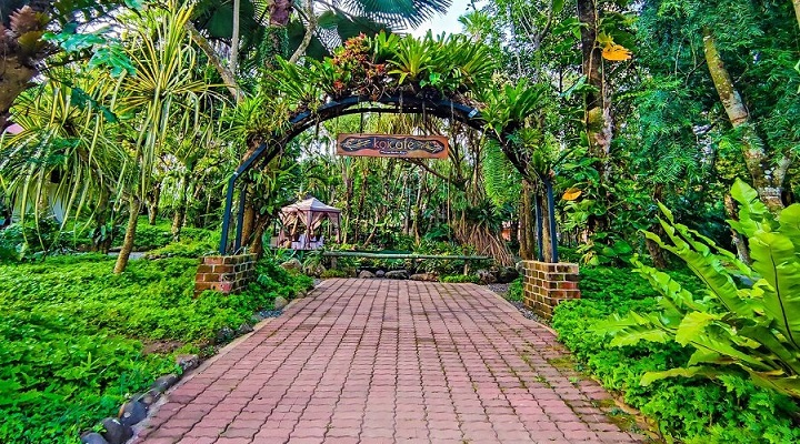 Crocodile Park