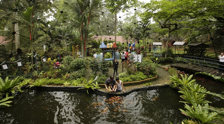 Crocodile Park
