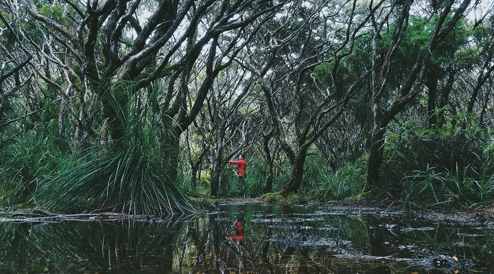 Processed with VSCO with a7 preset Samal Island