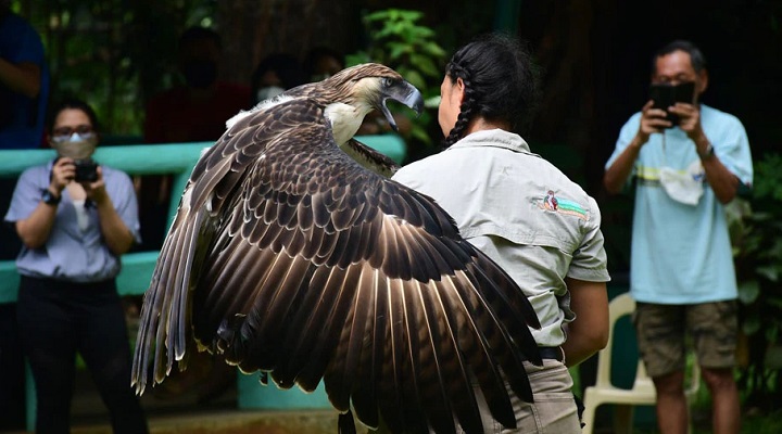 Philippine Eagle Center