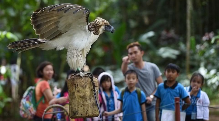 Philippine Eagle Center